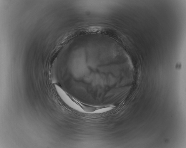 X0000114391394200911061504