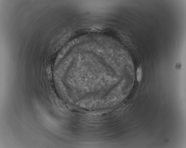 X0000114391395200911061504