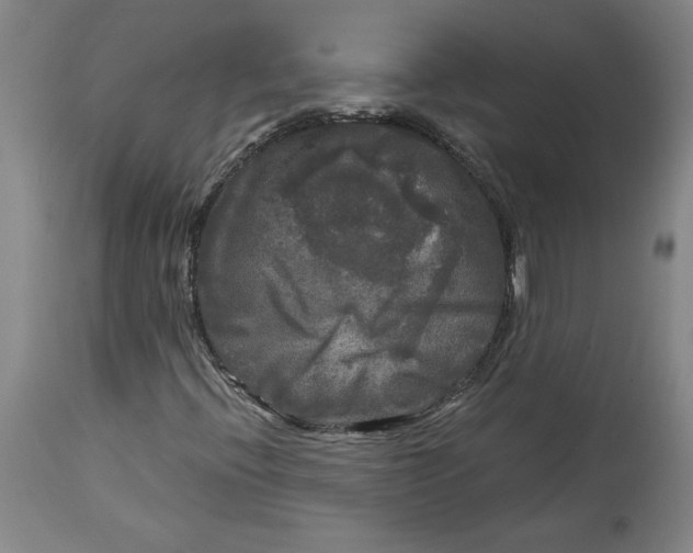 X0000114391396200911061504