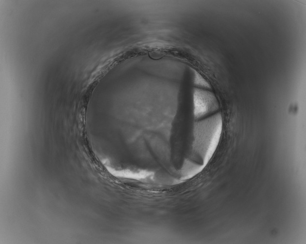 X0000114391397200911061504