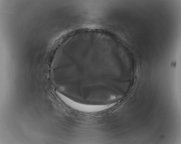 X0000114391398200911061504