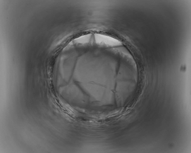 X0000114391399200911061504