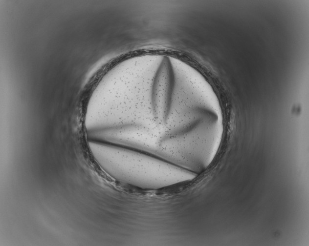 X0000114391400200911061504