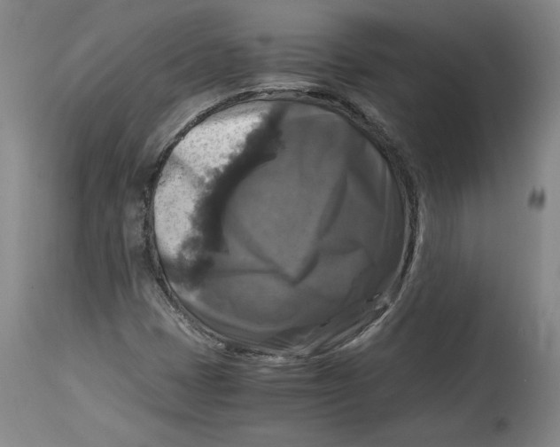 X0000114391401200911061504