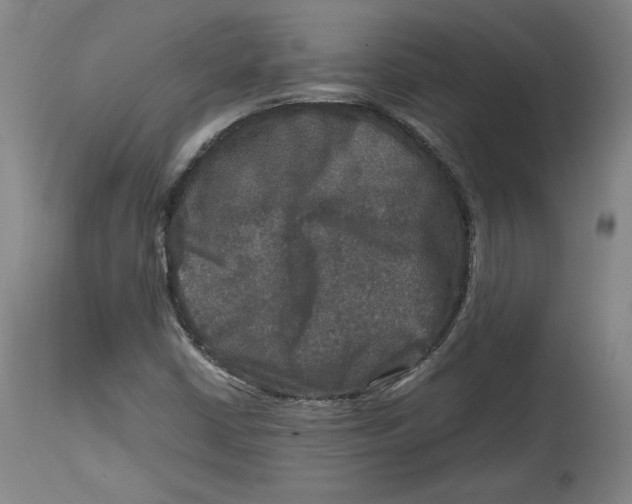X0000114391402200911061504