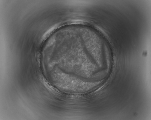 X0000114391403200911061504