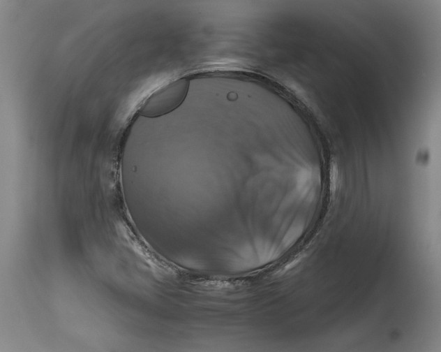 X0000114391405200911061504