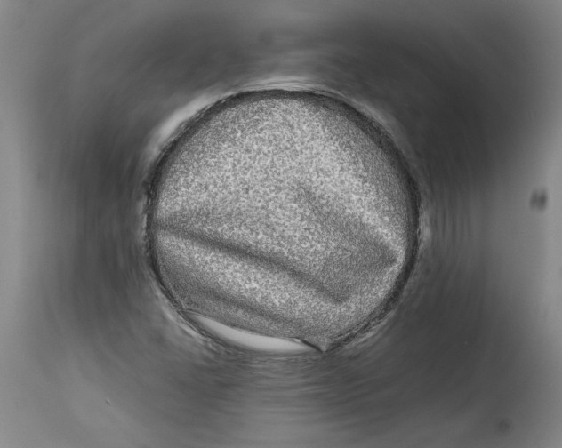 X0000114391406200911061504