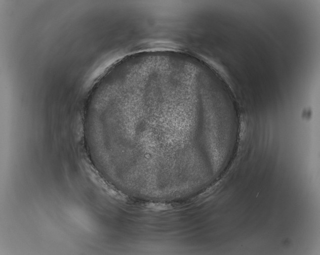 X0000114391407200911061504