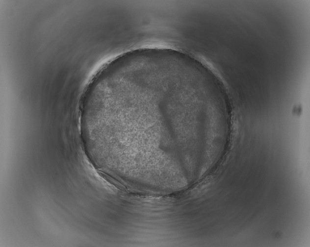 X0000114391408200911061504