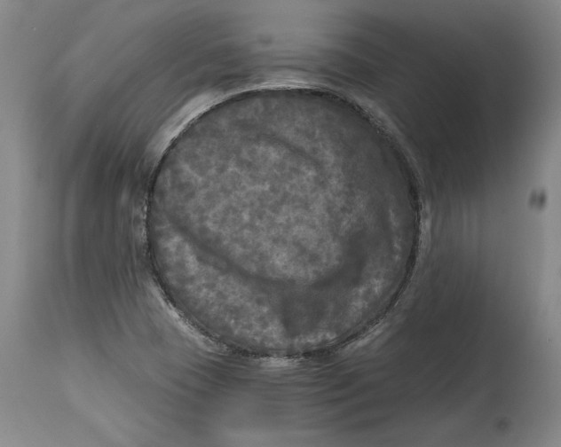 X0000114391409200911061504