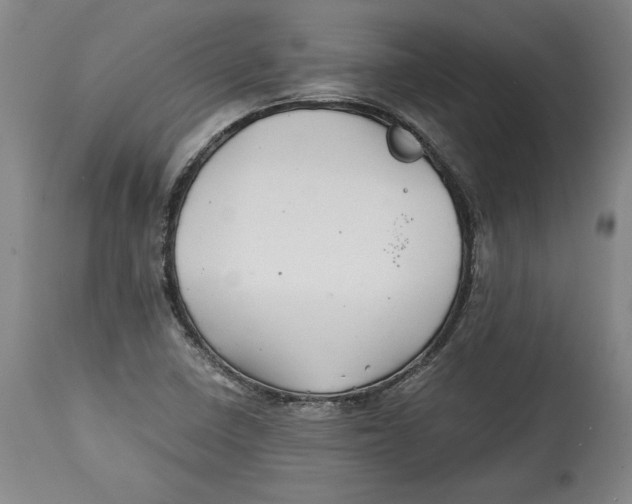 X0000114391410200911061504
