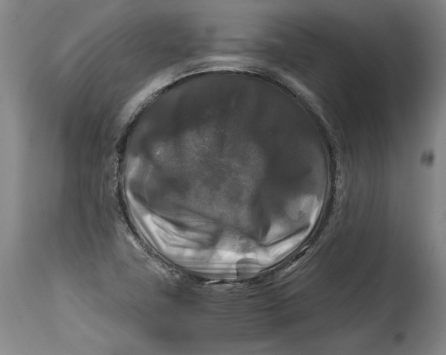X0000114391411200911061504