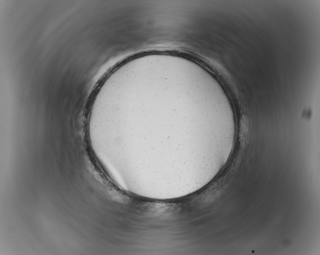 X0000114391412200911061504