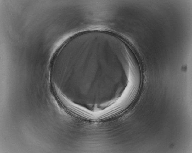 X0000114391414200911061504