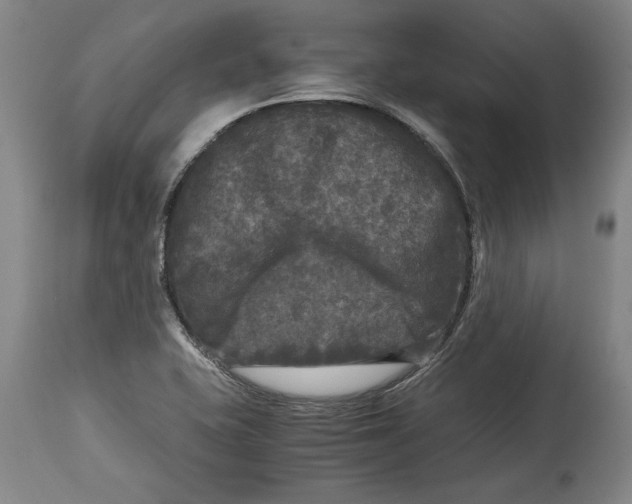 X0000114391415200911061504
