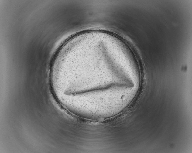 X0000114391416200911061504