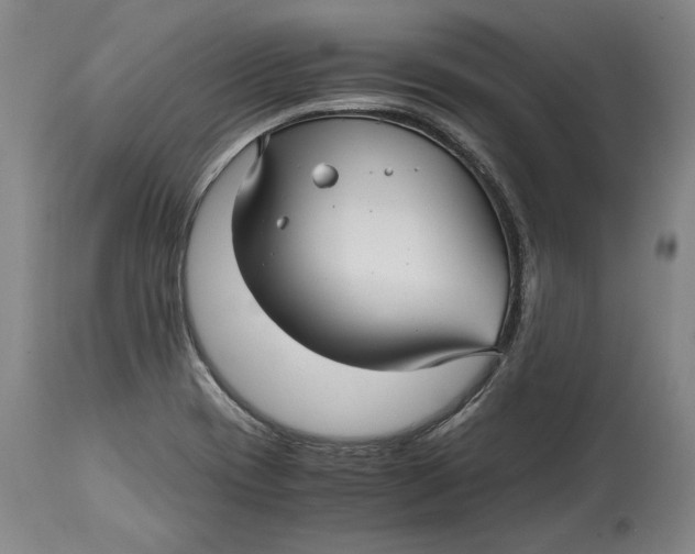 X0000114391417200911061504