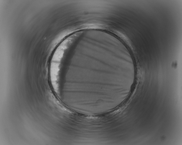 X0000114391419200911061504
