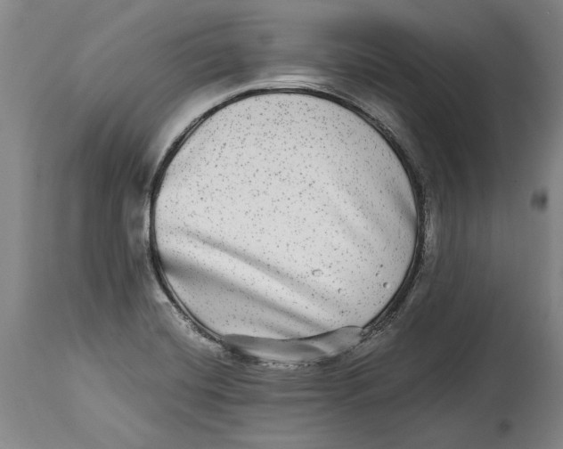 X0000114391420200911061504