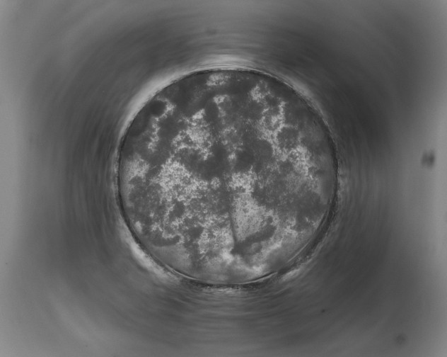X0000114391421200911061504