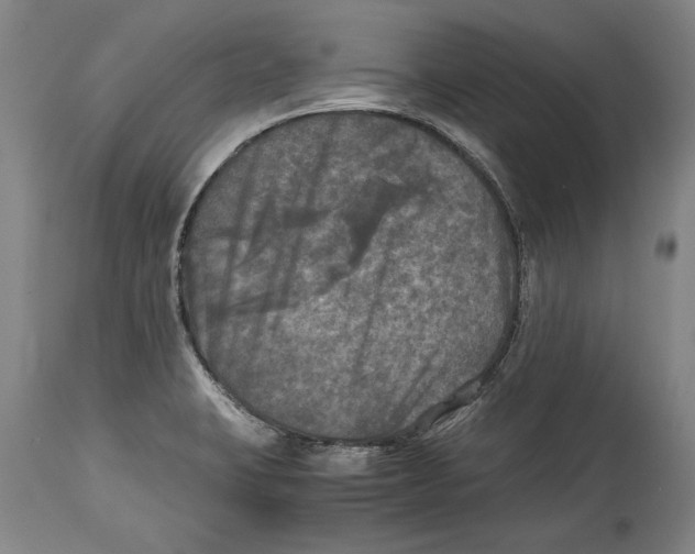 X0000114391423200911061504