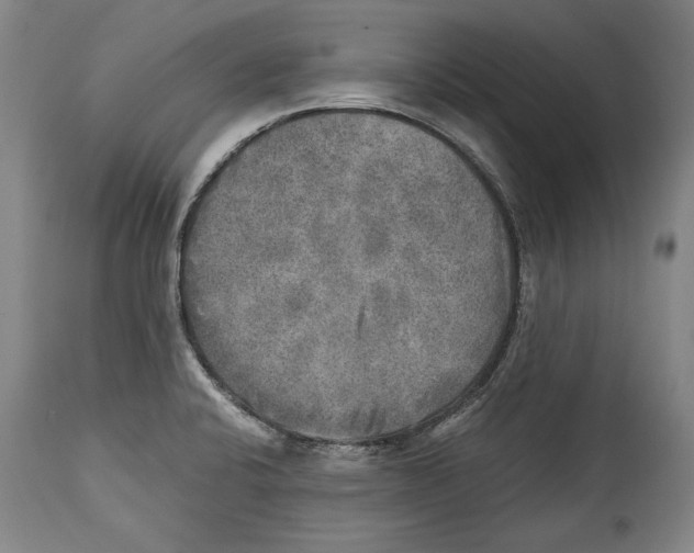 X0000114391424200911061504