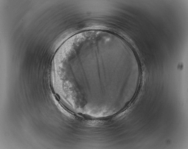 X0000114391425200911061504