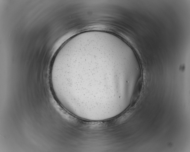 X0000114391426200911061504