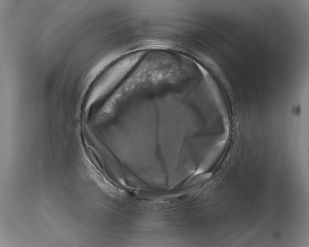 X0000114391427200911061504