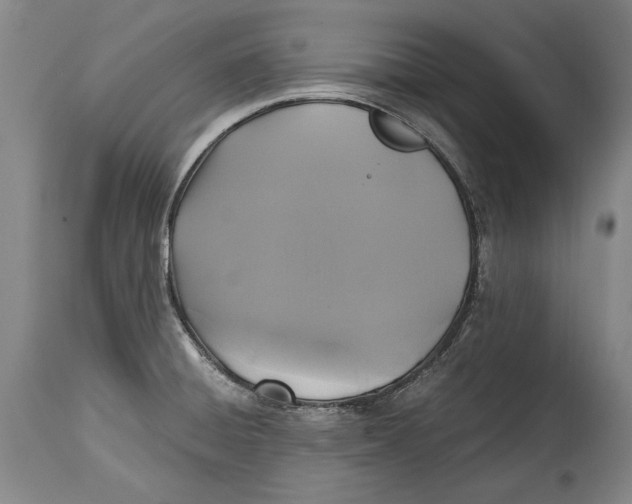 X0000114391428200911061504