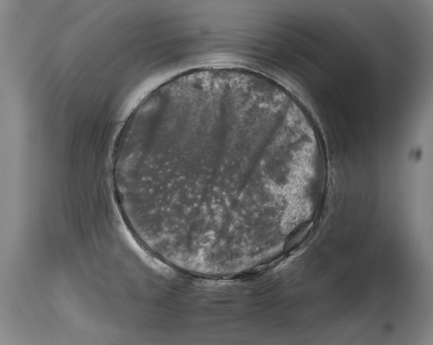 X0000114391429200911061504