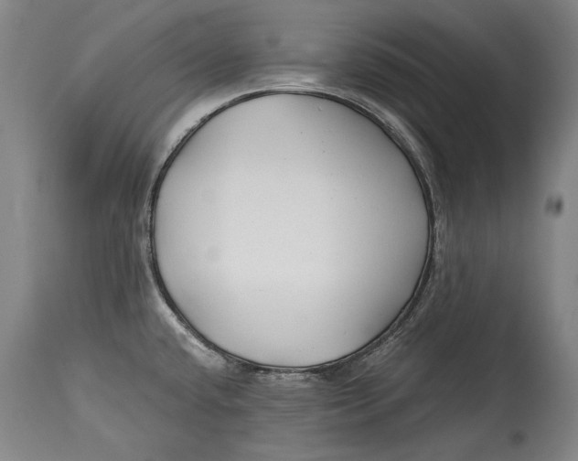 X0000114391432200911061504