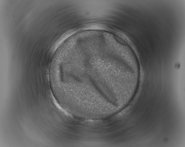X0000114391433200911061504