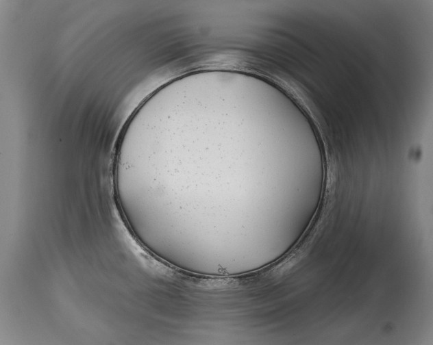 X0000114391434200911061504