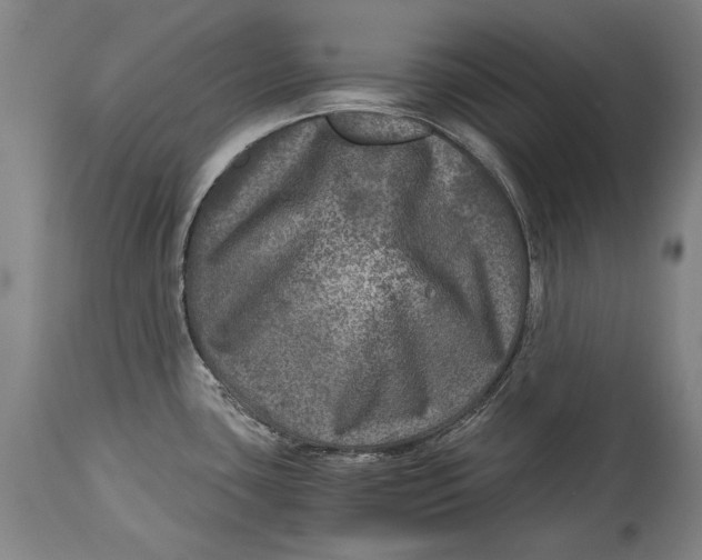 X0000114391435200911061504
