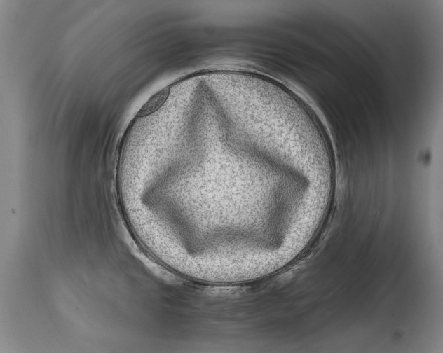 X0000114391437200911061504