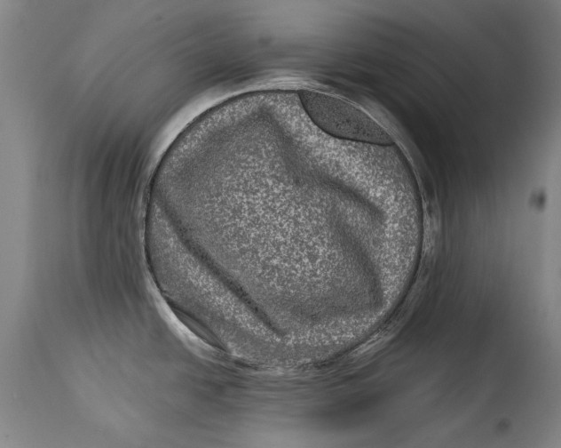 X0000114391438200911061504