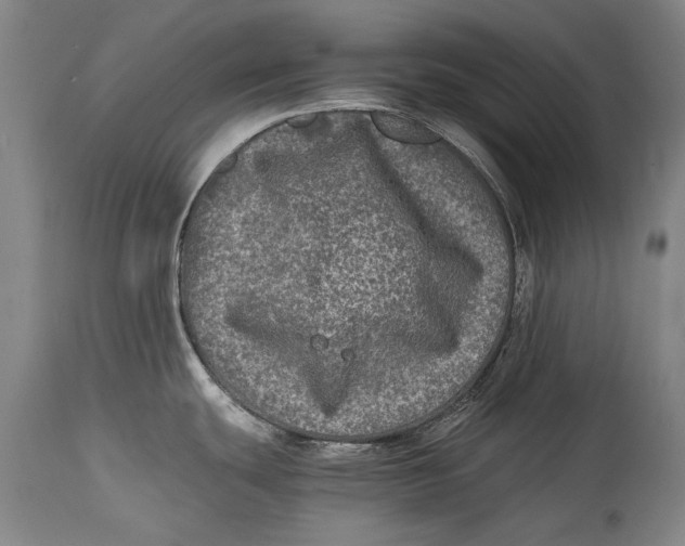 X0000114391439200911061504