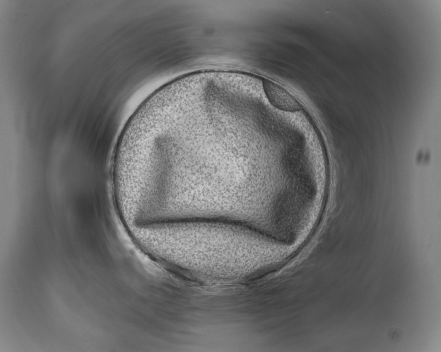 X0000114391440200911061504