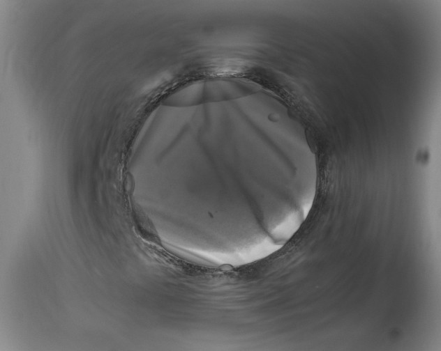 X0000114391441200911061504