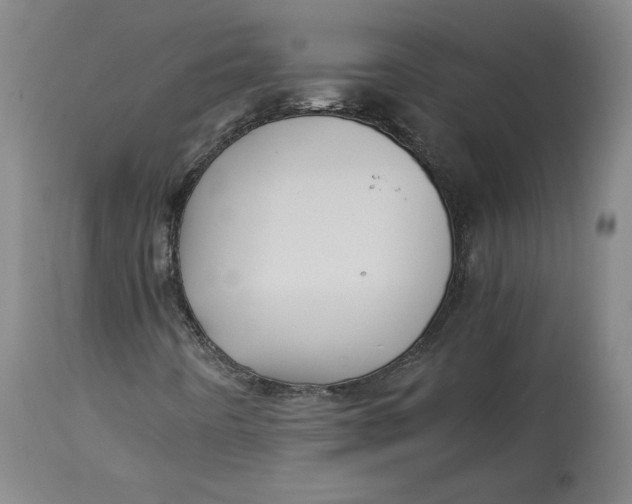 X0000114391442200911061504