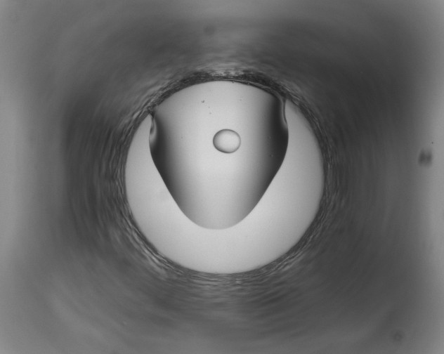 X0000114391444200911061504
