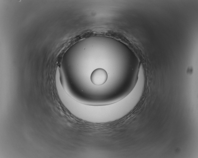 X0000114391445200911061504