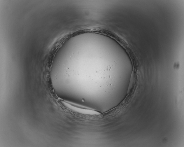 X0000114391447200911061504