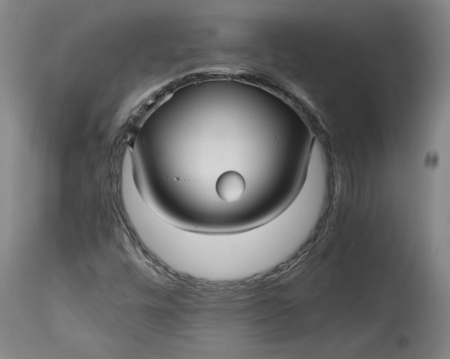 X0000114391448200911061504