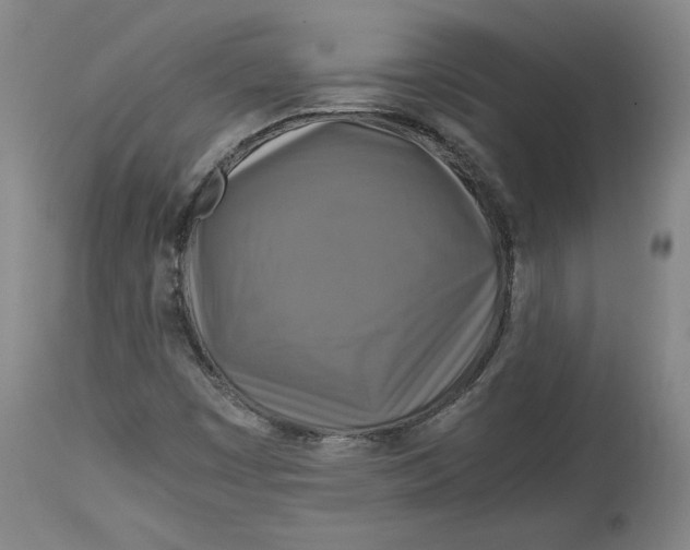X0000114391449200911061504