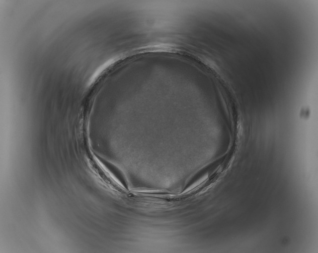 X0000114391450200911061504