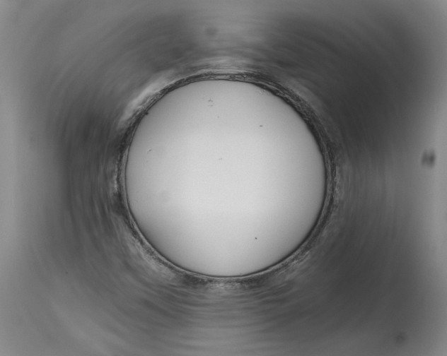 X0000114391451200911061504