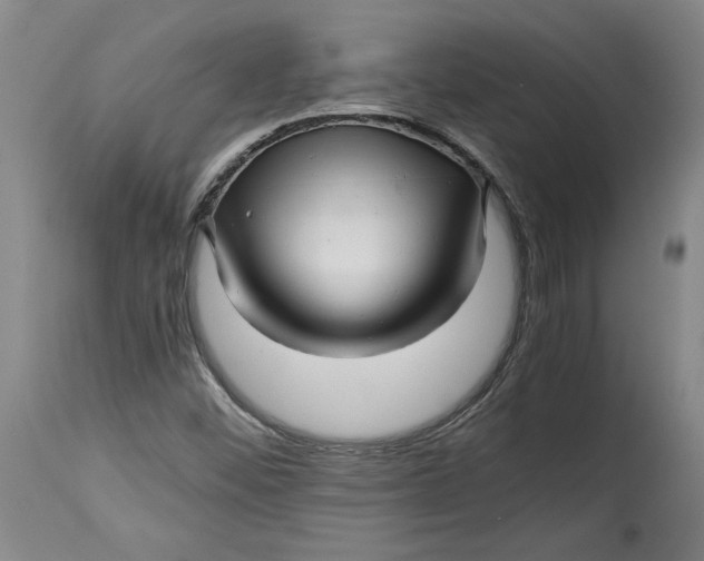 X0000114391452200911061504